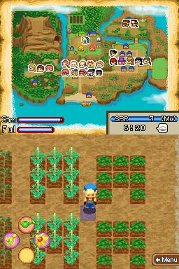 Illustration for article titled Two New Harvest Moon Games To Celebrate 10th Anniversary